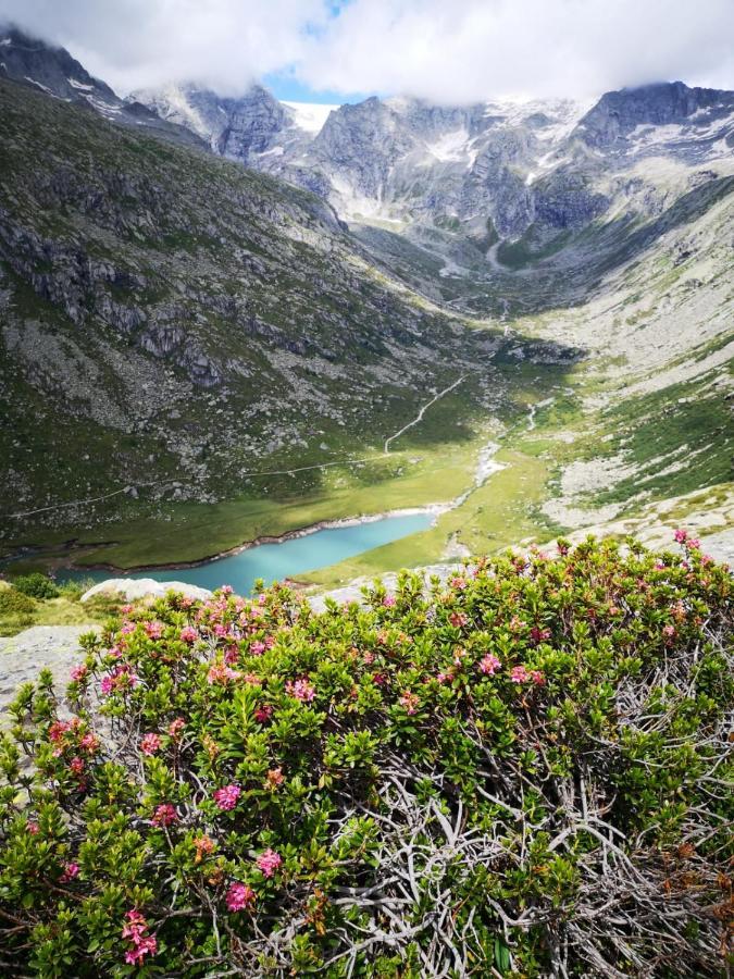Rifugio Stella Alpina Hotel Saviore dell'Adamello Ngoại thất bức ảnh