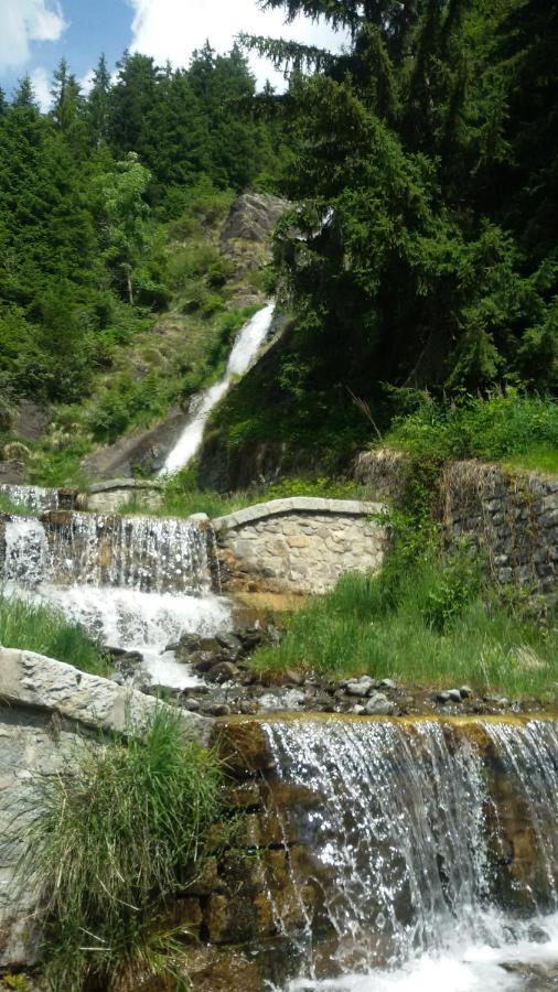 Rifugio Stella Alpina Hotel Saviore dell'Adamello Ngoại thất bức ảnh
