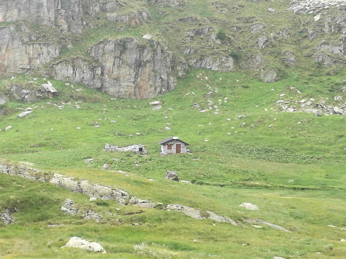 Rifugio Stella Alpina Hotel Saviore dell'Adamello Ngoại thất bức ảnh
